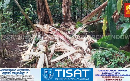 ഉപ്പുതറ പാലക്കാവിന് പിന്നാലെ കാക്കത്തോടും കാട്ടാന ഭീഷണിയിൽ.രാവിലെ തേക്കിൻ കൂപ്പിൽ നിലയുറപ്പിച്ച കാട്ടാനയെ വനം  വകുപ്പ് വാച്ചർമാരും  നാട്ടുകാരും ചേർന്നാണ്  ഉൾവനത്തിലേക്ക് ഓടിച്ചു വിട്ടത്.