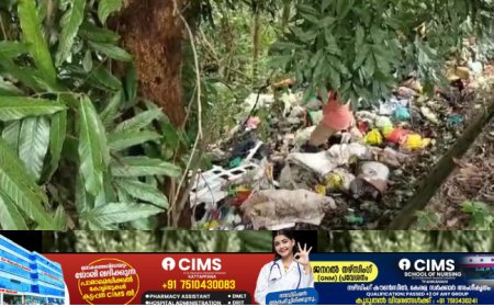 കട്ടപ്പന കല്ലുകുന്ന് മേഖലയിൽ മാലിന്യം തള്ളൽ രൂക്ഷം