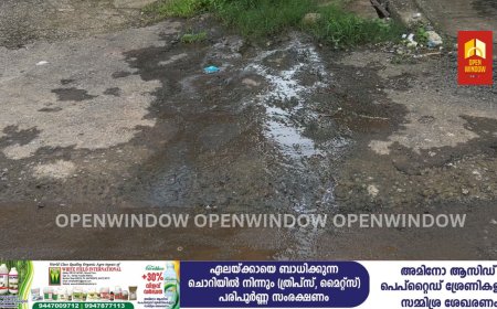 ശുചിമുറി മാലിന്യ ടാങ്ക് തകർന്നു  ;
 മാലിന്യത്തിൽ  മുങ്ങി രാജകുമാരി ടൗൺ