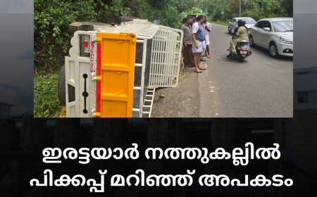 ഇരട്ടയാർ നത്തുകല്ലിൽ പിക്കപ്പ് മറിഞ്ഞ് അപകടം