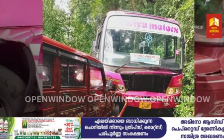 അടിമാലി ചീയപ്പാറയിൽ സ്വകാര്യബസും ബൊലേറോയും തമ്മിൽ കൂട്ടിയിടിച്ച് അപകടം