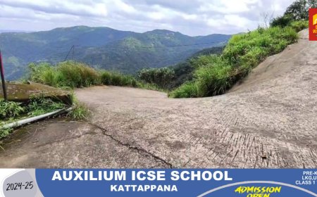 പീരുമേട് ജനവാസ മേഖലയിൽ പുലിയുടെ സാന്നിധ്യം സ്ഥിരീകരിച്ച് വനം വകുപ്പ്