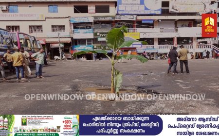 അടിമാലി ഗ്രാമപഞ്ചായത്ത് അടിമാലി ബസ്റ്റാൻഡിലെ കുഴികൾ നന്നാക്കാത്തതിൽ  തൊഴിലാളികളുടെ നേതൃത്വത്തിൽ വേറിട്ട പ്രതിഷേധം സംഘടിപ്പിച്ചു. കുഴികളിൽ വാഴനട്ടും ചൂണ്ട ഇട്ടുമാണ് പ്രതിഷേധം സംഘടിപ്പിച്ചത്
