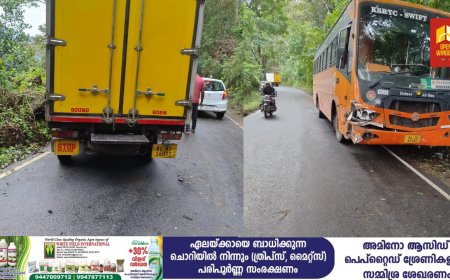 റോഡില്‍ ഇന്ധനം വീണു; അടിമാലി ആനച്ചാല്‍ - രണ്ടാംമൈല്‍ റോഡില്‍ പിക്കപ്പ് ലോറിയുടെ നിയന്ത്രണം നഷ്ടപ്പെട്ടു