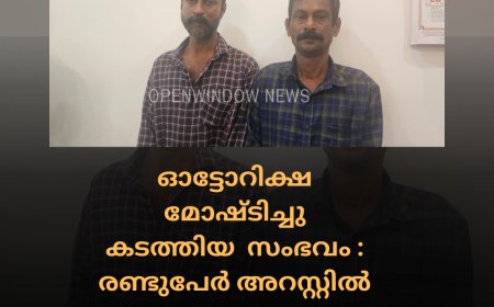 ഓട്ടോറിക്ഷ മോഷ്ടിച്ചു കടത്തിയ  സംഭവം  : രണ്ടുപേർ അറസ്റ്റിൽ
