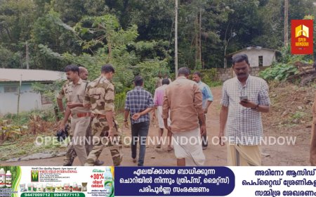 പീരുമേട് ടൗണിന് സമീപത്തും മറ്റ് ജനവാസ മേഖലയിലും പുലിയുടെ സാന്നിധ്യം സ്ഥിരീകരിച്ചു;ക്യാമറ സ്ഥാപിക്കാനുള്ള നടപടികളുമായി വനം വകുപ്പ്