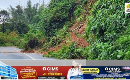 കട്ടപ്പന നിർമലസിറ്റിക്ക് സമീപം  പാർട്ടിപടിയിൽ മണ്ണിടിച്ചിൽ