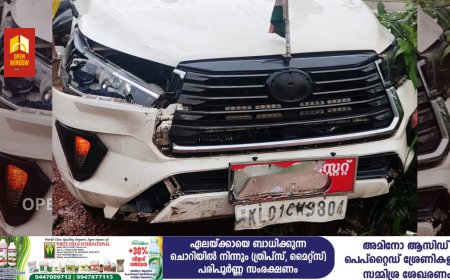 മന്ത്രി വീണാ ജോര്‍ജിന് കാറപകടത്തില്‍ പരിക്ക്; അപകടം വയനാട്ടിലേക്കുള്ള യാത്രയ്ക്കിടെ