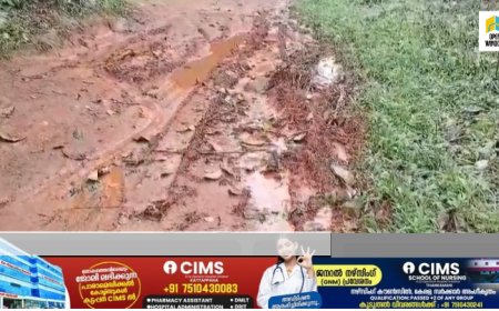 ഗ്രാമീണ പാതയോട് പഞ്ചായത്ത് അധികൃതർക്കും അവഗണന. വാത്തിക്കുടി പഞ്ചായത്തിലെ ചന്ദനക്കവല - 
കാരിക്കവല റോഡ് അധികൃതരുടെ അവഗണനയിൽ