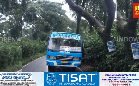 കുമളി- ആനവിലാസം-കട്ടപ്പന  റോഡിൽ യാത്രക്കാർക്ക് ഭീഷണിയായി വൻമരങ്ങൾ