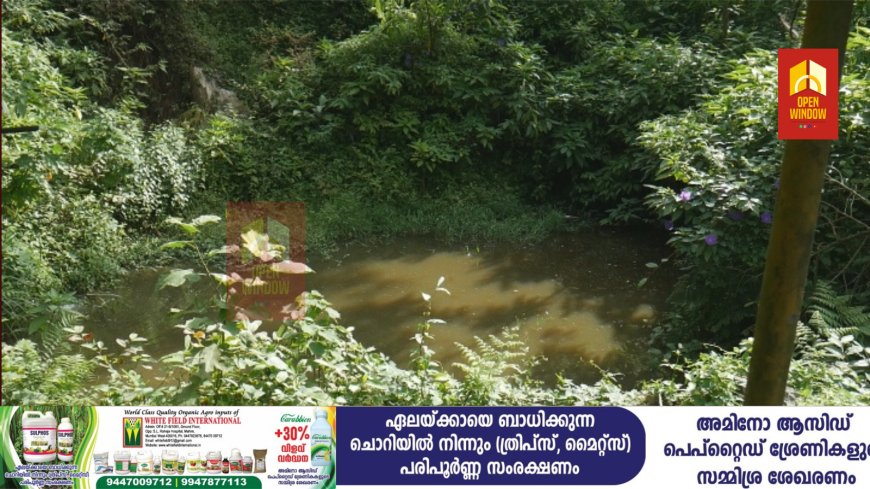 കൊച്ചി- ധനുഷ്കോടി ദേശീയപാതയിൽ ബോഡിമെട്ടിന് സമീപം തോട്ടം തൊഴിലാളികൾ ആശ്രയിക്കുന്ന കുടിവെള്ളത്തിലേക്ക് കക്കൂസ് മാലിന്യം നിക്ഷേപിക്കുന്നുവെന്ന് പരാതി