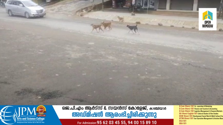 കാഞ്ചിയാർ പഞ്ചായത്ത് ഭരണസിരാകേന്ദ്രമായ ലബ്ബക്കടയിൽ തെരുവുനായ ശല്യം രൂക്ഷം