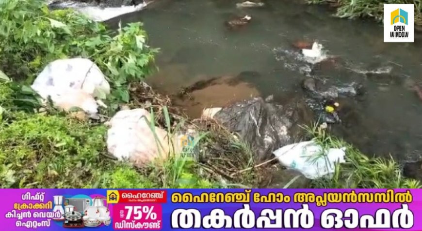 കട്ടപ്പനയാറിൽ മാലിന്യം തള്ളിയ സംഭവത്തിൽ അങ്കമാലി ചീസ് ദ ബോർഡ് കേറ്ററിംഗ് സ്ഥാപനത്തിനെതിരെ കടുത്ത നടപടിയുമായി കട്ടപ്പന നഗരസഭ