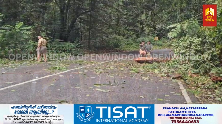 നേര്യമംഗലം വനമേഖലയിലെ ദേശിയപാത നിര്മ്മാണവുമായി ബന്ധപ്പെട്ട് വന്നിട്ടുള്ള കോടതി വിധിയില് തന്നോട് ആലോചിക്കാതെ യാതൊരുവിധ മേല് നടപടികളും സ്വീകരിക്കരുതെന്ന് വനംവകുപ്പ് മന്ത്രി എ കെ ശശീന്ദ്രന്