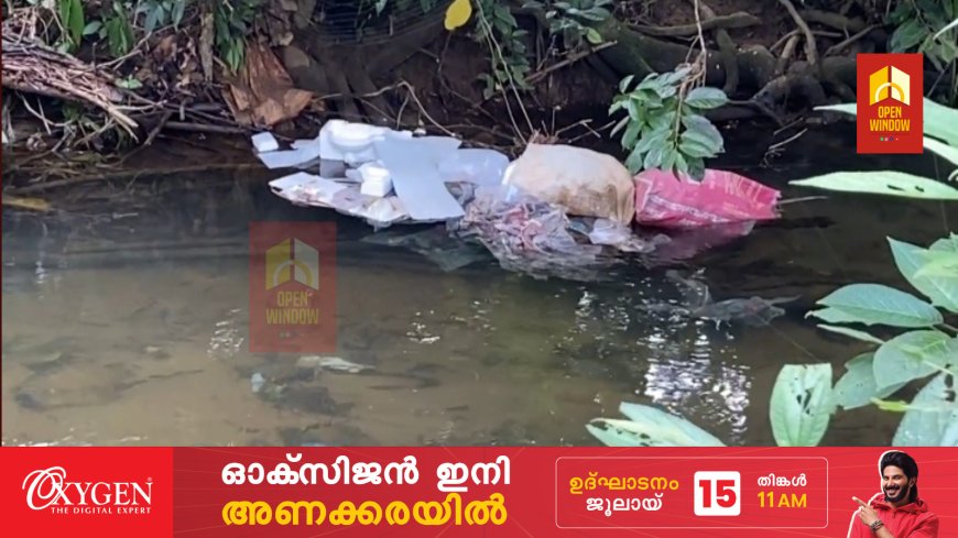 വള്ളക്കടവ് കരിമ്പാനിപ്പടി ചപ്പാത്ത് റോഡിൽ നിന്നും കട്ടപ്പന ആറിലേക്ക് മാലിന്യം തള്ളൽ രൂക്ഷമാകുന്നുവെന്ന് പരാതി