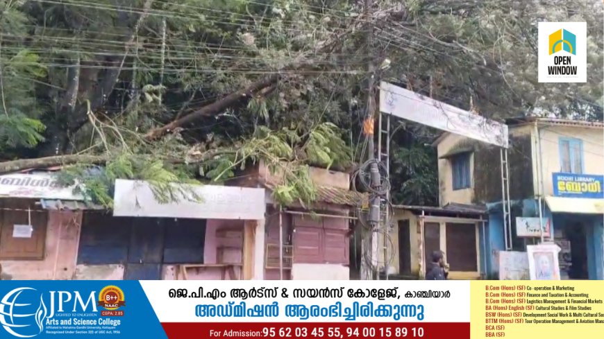 കാഞ്ചിയാർ പള്ളികവലയിൽ മരത്തിന്റെ വൻ ശിഖരം വൈദ്യുത ലൈനിലേക്ക് ഒടിഞ്ഞുവീണ് അപകട ഭീക്ഷണി