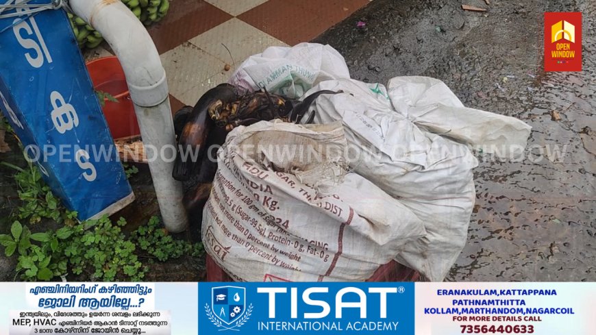 കട്ടപ്പന നഗരസഭയിൽ ഹരിതകർമ്മ സേനയുടെ പ്രവർത്തനം താളം തെറ്റുന്നു