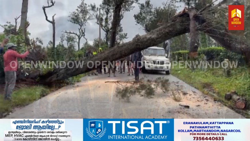 പൂപ്പാറ -കുമളി സംസ്ഥാന പാതയിൽ മരം വീണ് ഗതാഗതം തടസ്സപ്പെട്ടു