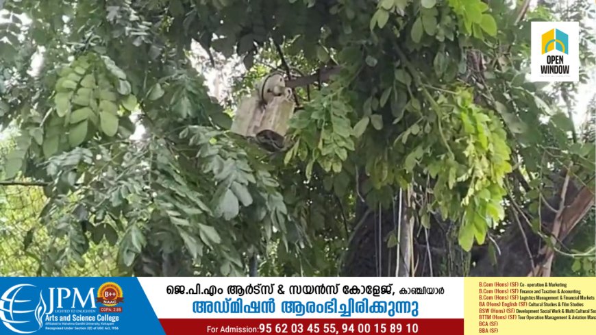 കട്ടപ്പന നഗരത്തിൽ സി സി ടിവി ക്യാമറകൾ സ്ഥാപിക്കണമെന്ന ആവശ്യം ശക്തമാകുന്നു