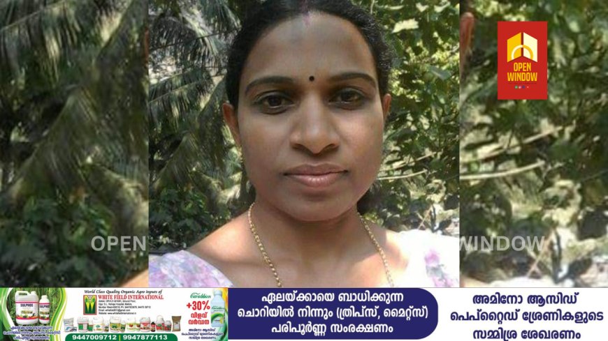 ഇടുക്കി ബ്ലോക്ക് പഞ്ചായത്ത് പ്രസിഡന്റ് രാജി ചന്ദ്രനെ ജനപ്രതിനിധി സ്ഥാനത്തുനിന്നും അയോഗ്യയാക്കി