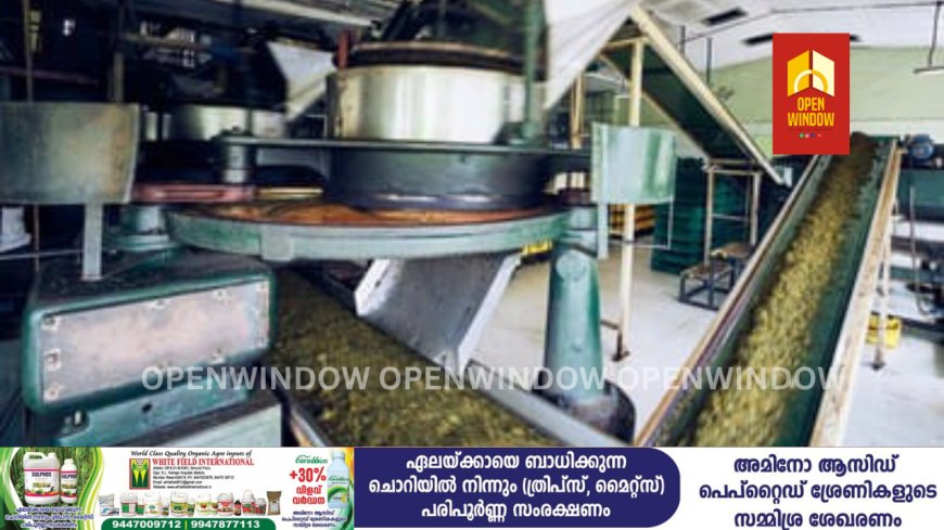 പീരുമേട് പട്ടുമല തേയില ഫാക്ടറിയിൽ തേയില സംസ്കരിക്കുന്ന മെഷിനുള്ളിൽ പെട്ട് തൊഴിലാളി മരിച്ചു