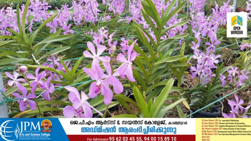 ഇടുക്കിയുടെ ഓര്ക്കിഡ് വൈവിധ്യങ്ങളെ സഞ്ചരികള്ക്ക് പരിചയപ്പെടുത്താന് ഒരുങ്ങുകയാണ് ടൂറിസം സംരംഭകരുടെ കൂട്ടായ്മ