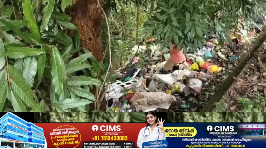 കട്ടപ്പന കല്ലുകുന്ന് മേഖലയിൽ മാലിന്യം തള്ളൽ രൂക്ഷം