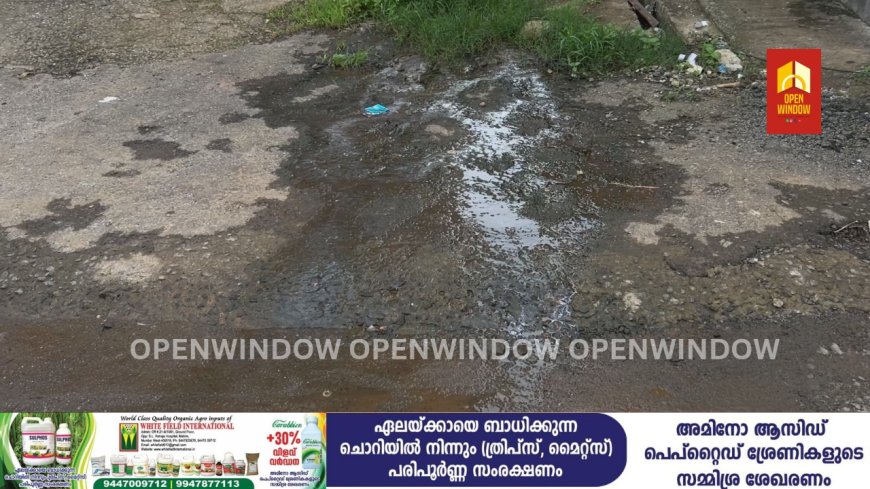 ശുചിമുറി മാലിന്യ ടാങ്ക് തകർന്നു ;
മാലിന്യത്തിൽ മുങ്ങി രാജകുമാരി ടൗൺ