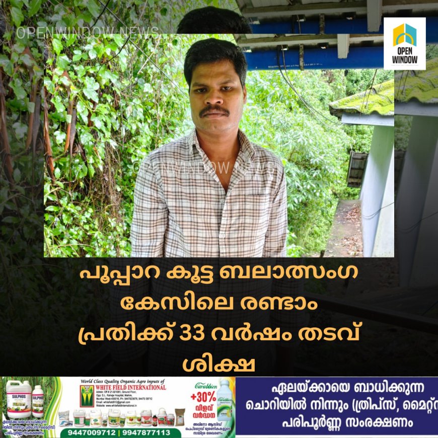 പൂപ്പാറ കൂട്ട ബലാത്സംഗ കേസിലെ രണ്ടാം പ്രതിക്ക് 33 വർഷം തടവ് ശിക്ഷ