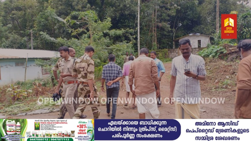 പീരുമേട് ടൗണിന് സമീപത്തും മറ്റ് ജനവാസ മേഖലയിലും പുലിയുടെ സാന്നിധ്യം സ്ഥിരീകരിച്ചു;ക്യാമറ സ്ഥാപിക്കാനുള്ള നടപടികളുമായി വനം വകുപ്പ്