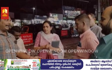പൂച്ച ചത്തു കിടന്നതറിയാതെ ആ വെള്ളം ഉപയോഗിച്ച് ഭക്ഷണം പാകം ചെയ്ത് വില്പന നടത്തി ; 5 വ്യാപാര സ്ഥാപനങ്ങൾ അടപ്പിച്ചു