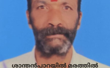 ശാന്തൻപാറയിൽ മരത്തിൽ നിന്ന് വീണ് മധ്യവയസ്കൻ മരിച്ചു