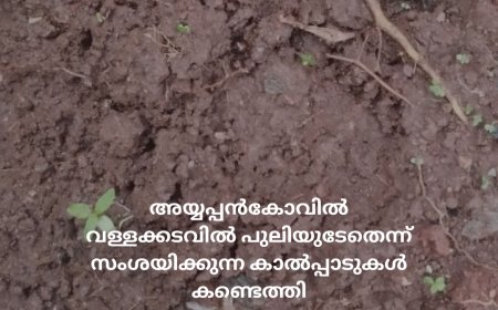 അയ്യപ്പൻകോവിൽ വള്ളക്കടവിൽ പുലിയുടേതെന്ന് സംശയിക്കുന്ന കാൽപ്പാടുകൾ കണ്ടെത്തി