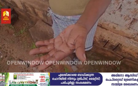 അടിമാലി ടൗണിൽ തെരുവ്‌ നായ ആക്രമണം.നായയുടെ ആക്രമണത്തില്‍ വിവിധയാളുകള്‍ക്ക് കടിയേറ്റു