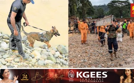 ഇടുക്കിയുടെ ‘എയ്ഞ്ചൽ’: അസാധാരണമായ ബുദ്ധി, 15 അടി മണ്ണിനടിയിൽ കിടക്കുന്ന മൃതദേഹംവരെ കണ്ടെത്തും