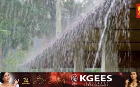 സംസ്ഥാനത്ത് പരക്കെ മഴ തുടരും, ജാഗ്രത തുടരണം, ആറ് ജില്ലകളിൽ യെല്ലോ അലര്‍ട്ട്, കള്ളക്കടൽ മുന്നറിയിപ്പും
