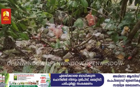 കട്ടപ്പന നഗരസഭയിൽ മാലിന്യ നിക്ഷേപം വീണ്ടും വ്യാപകമാകുന്നു