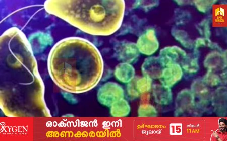 തിരുവനന്തപുരത്ത് 4 പേർക്ക് അമീബിക് മസ്തിഷ്ക ജ്വരം; നിരീക്ഷണം കർശനമാക്കാൻ ആരോഗ്യവകുപ്പ്; ജാ​ഗ്രതാനിർദേശം