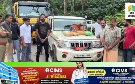 ഇടുക്കി പൂപ്പാറയിൽ ടോറസിൽ കടത്തിയ കഞ്ചാവുമായി രണ്ടു പേർ പിടിയിൽ