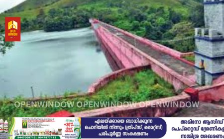 മുല്ലപ്പെരിയാർ  അണക്കെട്ടിൻ്റെ സുരക്ഷ സംബന്ധിച്ച ആശങ്കകളും സ്ഥിതിഗതികളും വിലയിരുത്താൻ മന്ത്രി റോഷി അഗസ്റ്റിൻ്റെ നേതൃത്വത്തിൽ ഇന്ന് ഇടുക്കി കളക്ട്രേറ്റിൽ 
യോഗം