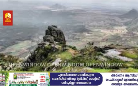 പ്രധാന വിനോദ സഞ്ചാര കേന്ദ്രമായ രാമക്കൽമെട്ടിലേക്കുള്ള പ്രവേശനം തമിഴ്നാട് നിരോധിച്ചു