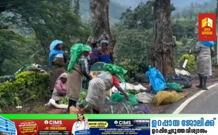 വയനാടിനെ കൈപിടിച്ച് ഉയര്‍ത്താന്‍ ഒത്തൊരുമിച്ച് മൂന്നാറിലെ തോട്ടം തൊഴിലാളികളും