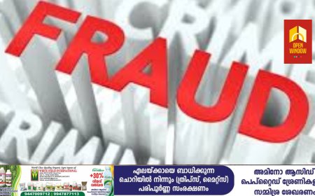 ഓൺലൈൻ തട്ടിപ്പ് സംഘം കട്ടപ്പന വെള്ളിലാംകണ്ടം സ്വദേശിയുടെ 6.18 ലക്ഷം രൂപ തട്ടിയെടുത്തതായി പരാതി