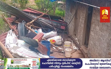 ചിന്നക്കനാലിൽ കാട്ടാന ആക്രമണം