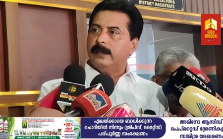 മുല്ലപ്പെരിയാർ അണക്കെട്ടിനെ സംബന്ധിച്ച് നിലവിൽ ആശങ്ക വേണ്ടെന്ന് മന്ത്രി റോഷി അഗസ്റ്റിൻ