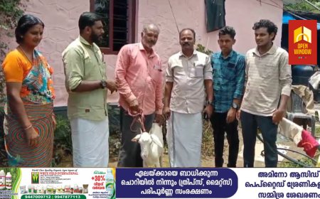 വയനാടിന് കൈത്താങ്ങായി ജീവനോപാധിയായ ആടിനെ നൽകി ദമ്പതികൾ