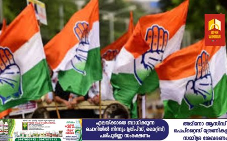 തൊടുപുഴ നഗരസഭ ചെയർമാൻ തെരഞ്ഞെടു പ്പ് ; യുഡിഎഫിലെ അനൈക്യത്തിന് ജനങ്ങളോട് മാപ്പ് പറയണം  - കേരള കോൺഗ്രസ്