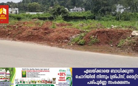 മലയോര ഹൈവേ നിർമ്മാണം ഇഴഞ്ഞു നീങ്ങുന്നതോടെ കാഞ്ചിയാർ പാലാകടയിൽ  യാത്രാ ക്ലേശം രൂക്ഷം