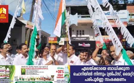 കോൺഗ്രസ് കട്ടപ്പന മണ്ഡലം കമ്മിറ്റിയുടെ നേതൃത്വത്തിൽ സ്വാതന്ത്ര്യ  ദിനാഘോഷ  പരിപാടികൾ സംഘടിപ്പിച്ചു