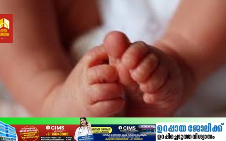 ഇടുക്കി ഉടുമ്പൻചോലയിൽ നവജാത ശിശുവിനെ മരിച്ച നിലയിലും മുത്തശ്ശിയെ അവശനിലയിലും കണ്ടെത്തി